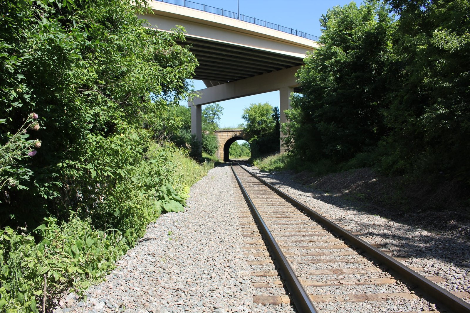 Looking north